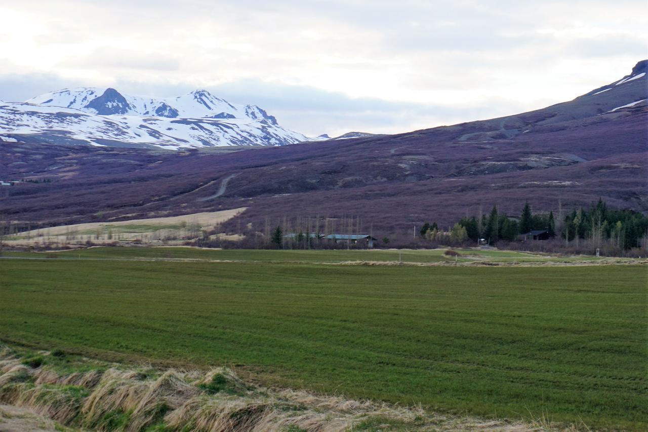 Middalskot Cottages Laugarvatn Eksteriør bilde